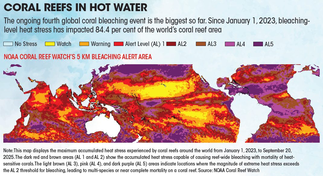 coal-oil-and-gas-on-the-rise